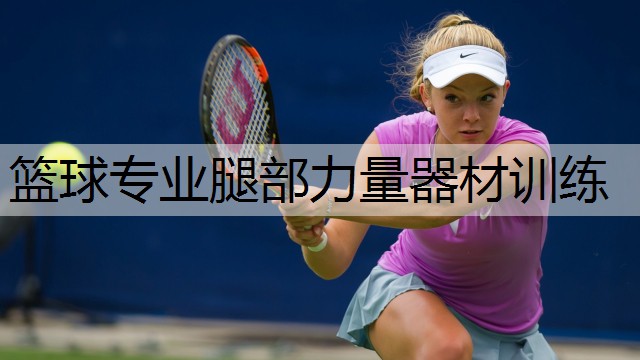 篮球专业腿部力量器材训练