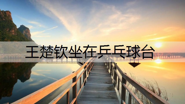 王楚钦坐在乒乓球台