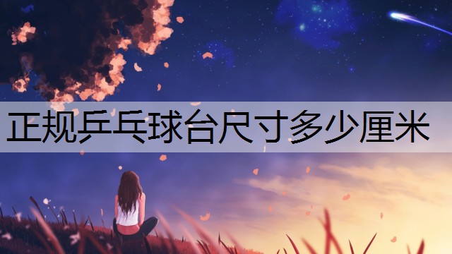 正规乒乓球台尺寸多少厘米