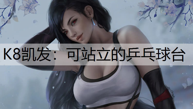 K8凯发：可站立的乒乓球台