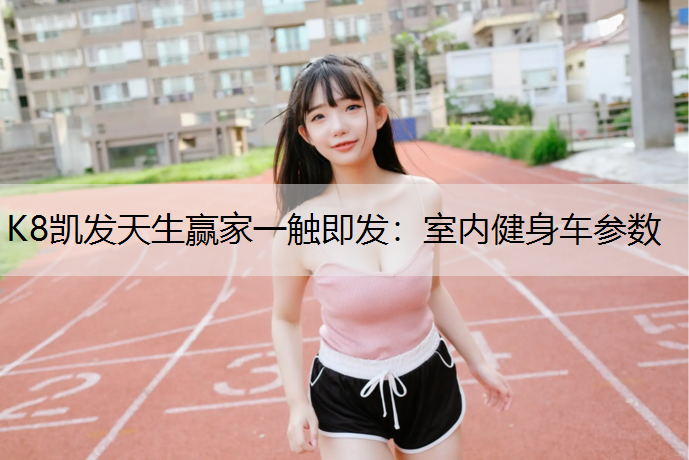K8凯发天生赢家一触即发：室内健身车参数