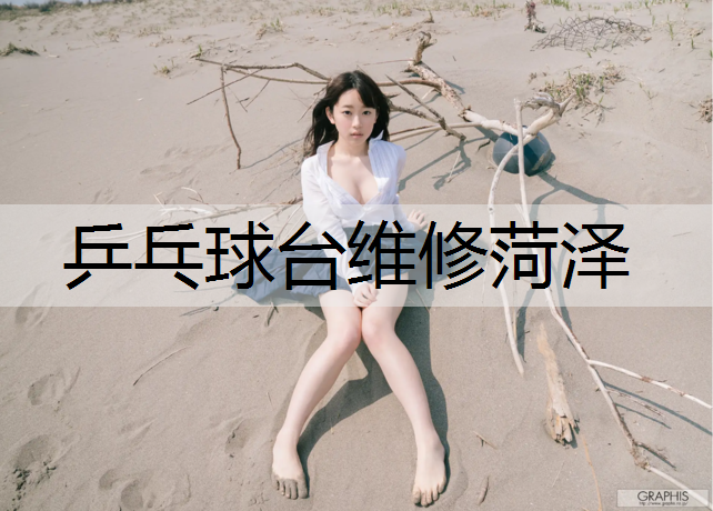 乒乓球台维修菏泽