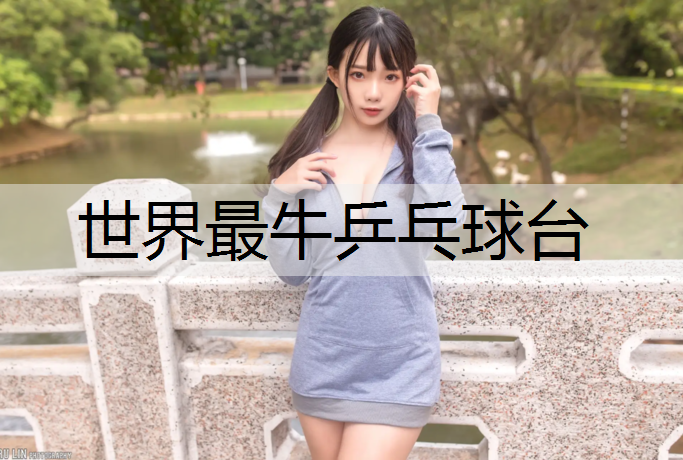 世界最牛乒乓球台