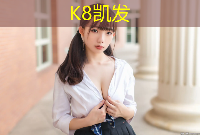 K8凯发：新乡预制塑胶跑道