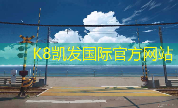 K8凯发天生赢家一触即发：跆拳道护具东胜专用包