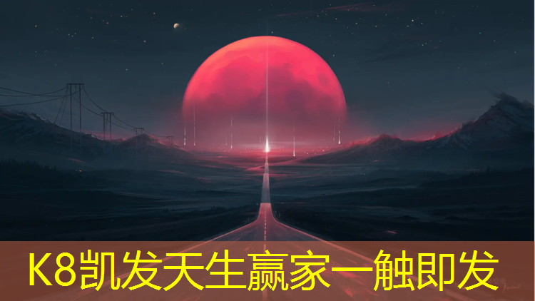 k8凯发官网入口：羽毛球网网球网价格
