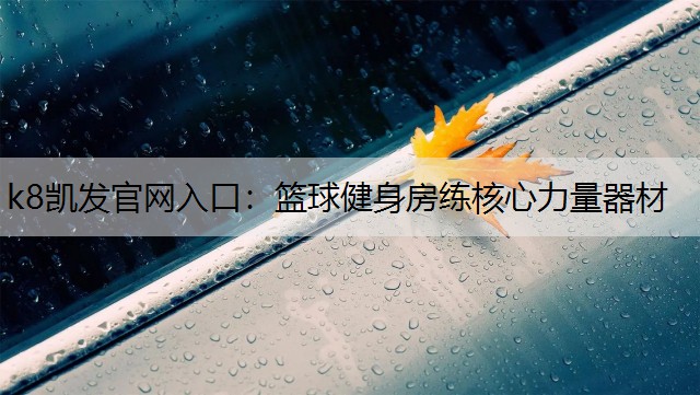 篮球健身房练核心力量器材