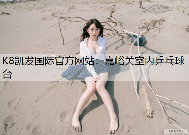 嘉峪关室内乒乓球台
