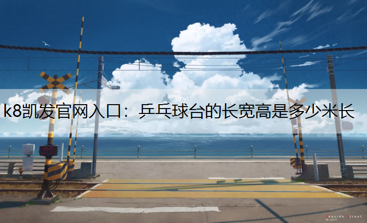 乒乓球台的长宽高是多少米长