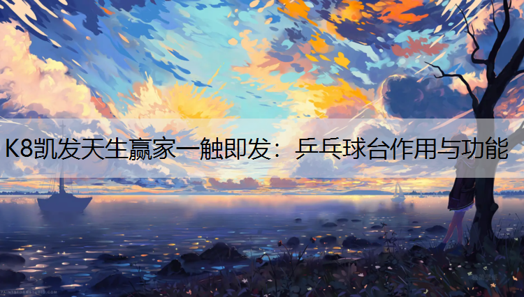 乒乓球台作用与功能