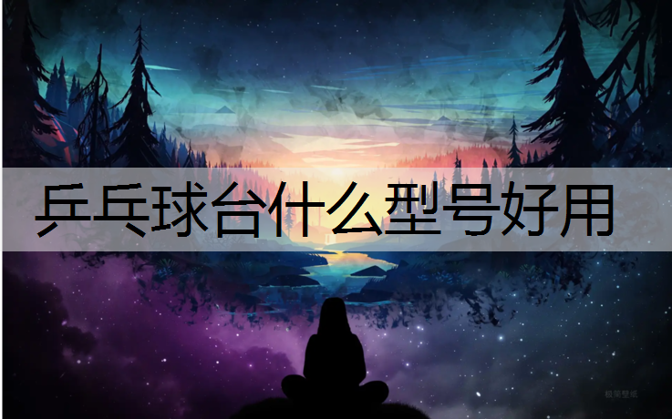 乒乓球台什么型号好用