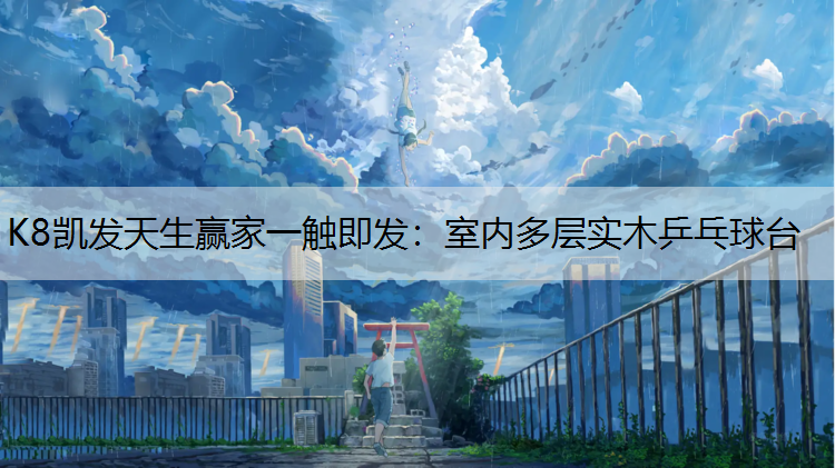 室内多层实木乒乓球台