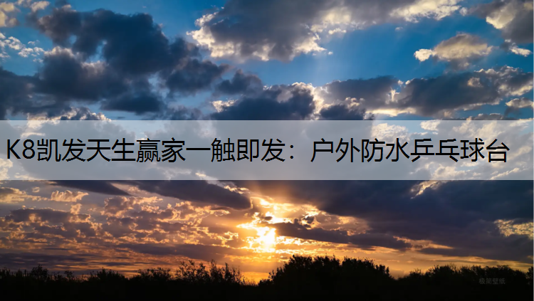 户外防水乒乓球台