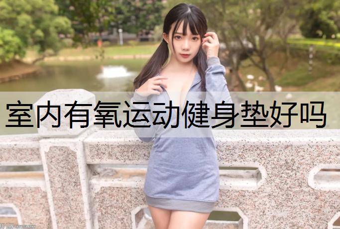 室内有氧运动健身垫好吗